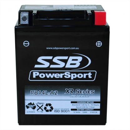 AGM Motorcycle Battery RB14L-A2