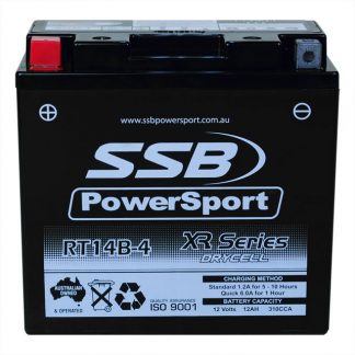 AGM Motorcycle Battery RT14B-4